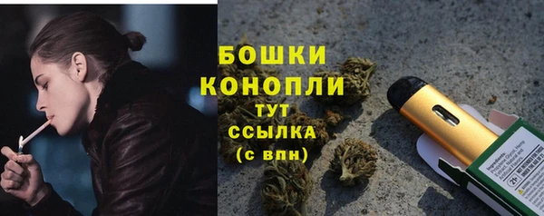 ПСИЛОЦИБИНОВЫЕ ГРИБЫ Мурманск
