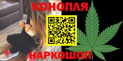 прущие крисы Беслан