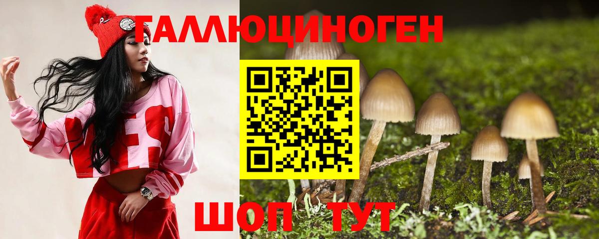 Санкт-Петербург  Галлюциногенные грибы прущие грибы  Вход с VPN 