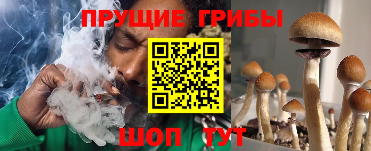 Галлюциногенные грибы GOLDEN TEACHER Санкт-Петербург